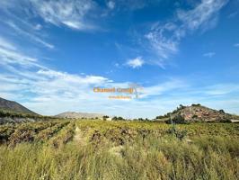 SE VENDE PARCELA DE 14000 M2, ZONA LA ROMANA !!!!!!! photo 0
