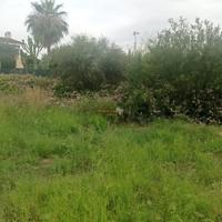 ¡Oportunidad Única! Parcela de 2.000 m² en Venta en zona PEÑA DE LAS AGUILAS ELCHE photo 0