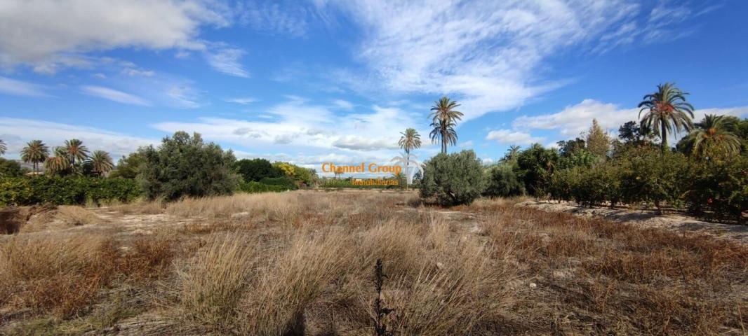 SE VENDE PARCELA A 5 MINUTOS DE ELCHE, ZONA ALGODA !!!!!!! photo 0