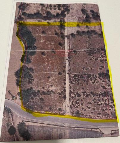 SE VENDE PARCELA DE 10.647 M2 photo 0