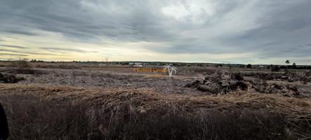 SE VENDE PARCELA DE 19.272 M2, ZONA CARRIZAL !!!!!!!! photo 0