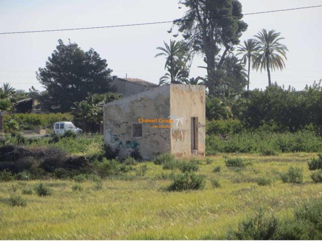 EN VENTA PARCELAS DE 16.000M2 ENTRE ELCHE Y MATOLA!! photo 0