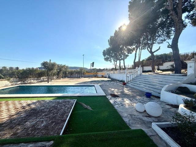 EXCLUSIVA VILLA DE 7 HABITACIONES EN ALICANTE CON JARDIN  Y PISCINA photo 0