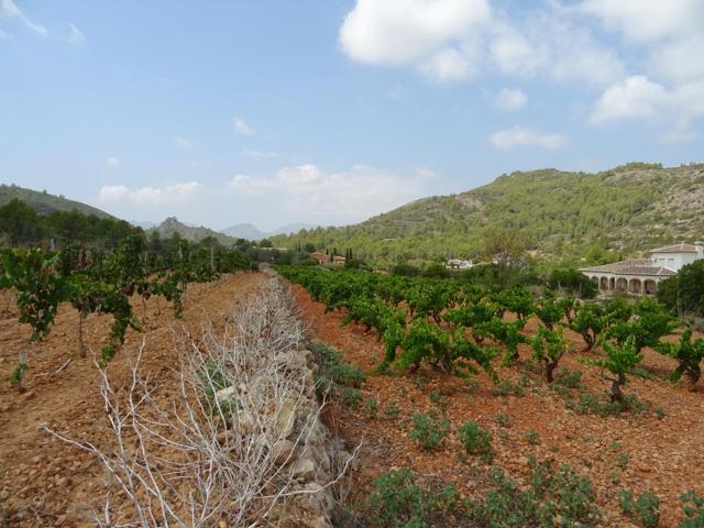 Terreno construible en Lliber photo 0