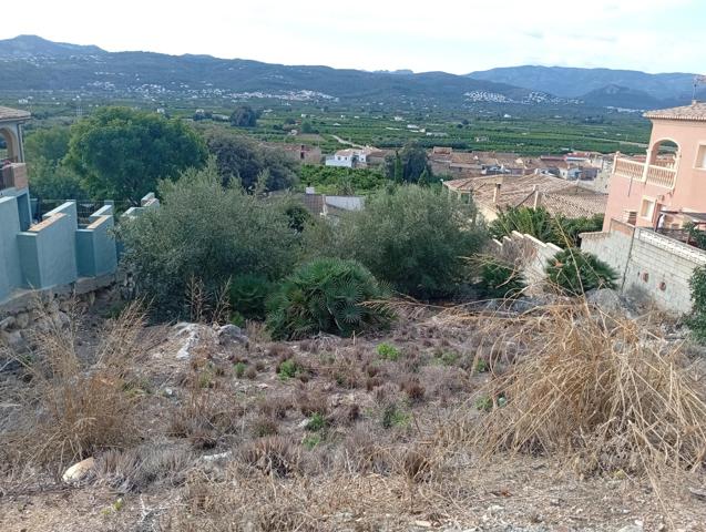 PARCELA URBANA EN SANET Y NEGRALS photo 0