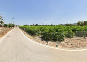 Terrenos Edificables En venta en Casillas, Murcia photo 0