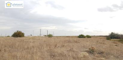 Finca rústica de 5 hectáreas en Guillena Sevilla, con luz y agua a pie de parcela photo 0