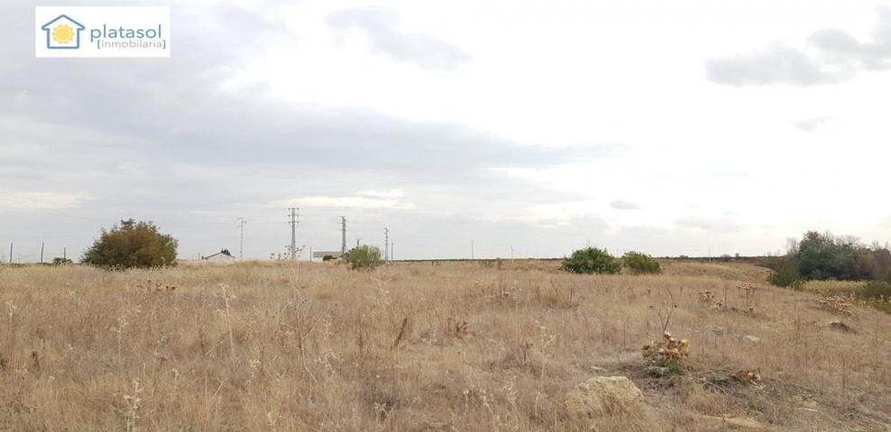 Finca rústica de 5 hectáreas en Guillena Sevilla, con luz y agua a pie de parcela photo 0