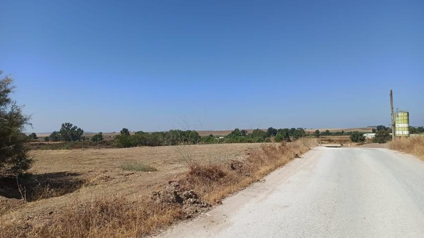 Finca rústica de 2,5 hectáreas a la venta en Guillena - Sevilla photo 0