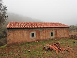 Finca a la venta de 8 hectáreas con 3 construcciones en Almadén de la Plata photo 0