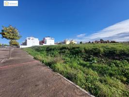 3.000 m2 urbanos para 45 viviendas a la venta, en Gerena, a 15 minutos de Sevilla photo 0