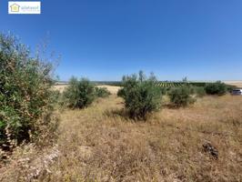 venta de finca rustica photo 0