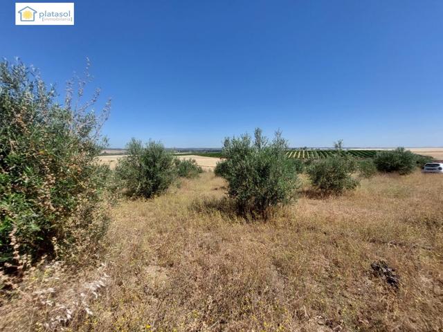 venta de finca rustica photo 0