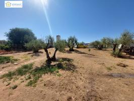 magnifica finca rustica con casa photo 0