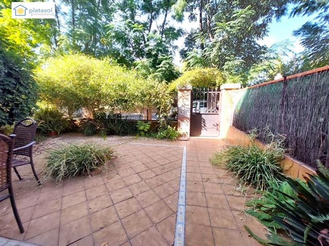Magnifica casa (no piso) en venta en Sevilla capital photo 0