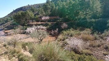 SE VENDE PARCELA EN TOTANA (MURCIA) photo 0