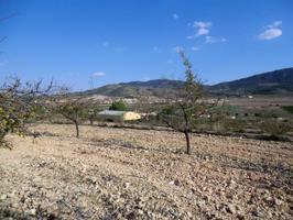 Terreno Urbanizable En venta en El Rebalso, Hondon De Las Nieves photo 0