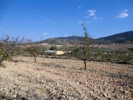 Agrícola En venta en El Rebalso, Hondon De Las Nieves photo 0