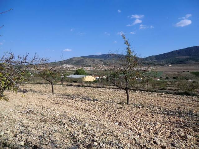 Terreno Urbanizable En venta en El Rebalso, Hondon De Las Nieves photo 0