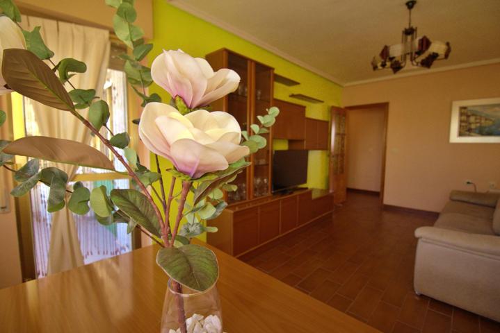 BUNGALOW DOBLE E INDEPENDIENTES photo 0
