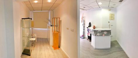 ESTUPENDO LOCAL COMERCIAL photo 0