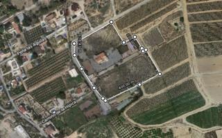 FINCA RUSTICA EN PEÑA DE LAS ÁGUILAS DE ELCHE photo 0