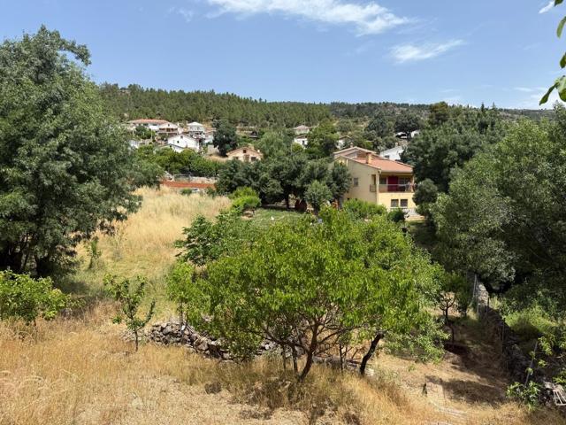 CASA DE 3 PLANTAS EN FINCA DE 1600 M2 AL PIE DE LA SIERRA DE GREDOS photo 0