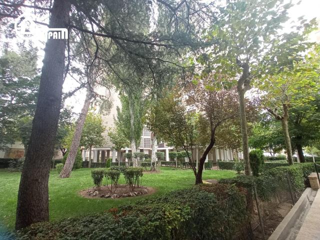 GESPAIN ALUCHE-CAMPAMENTO OFRECE EN EXCLUSIVA photo 0