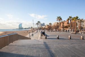 Piso planta baja en La Barceloneta con contrato vigente hasta 2029 – Inversión con ingresos asegura photo 0