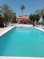 CHALET CON PISCINA EN PARTIDA DE ALGODA, ELCHE photo 0