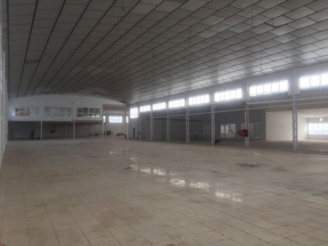 Nave en Elche ciudad, zona Sector V. photo 0