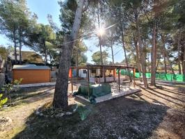 CASA O CHALET EN TIBI photo 0