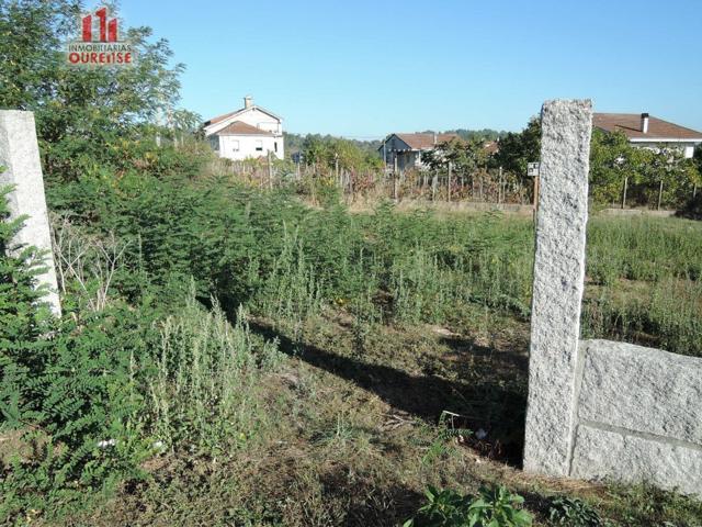 FINCA URBANIZABLE EN LA ZONA DE PIÑOR photo 0