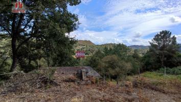 FINCA RUSTICA CON GALPON EN LA ZONA DE CASTRO DE BEIRO (AMOEIRO) photo 0