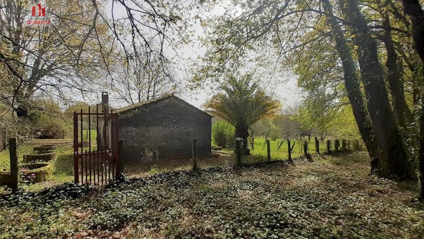 FINCA RÚSTICA DE 6.000 M2 CON GALPÓN Y POZO EN COLES (OURENSE) photo 0