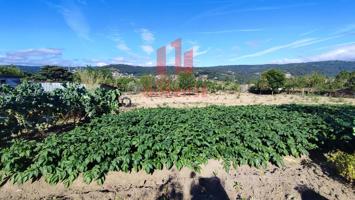 FINCA DE MÁS DE TRES MIL METROS CUADRADOS EN SAN CIBRAO DAS VIÑAS. photo 0
