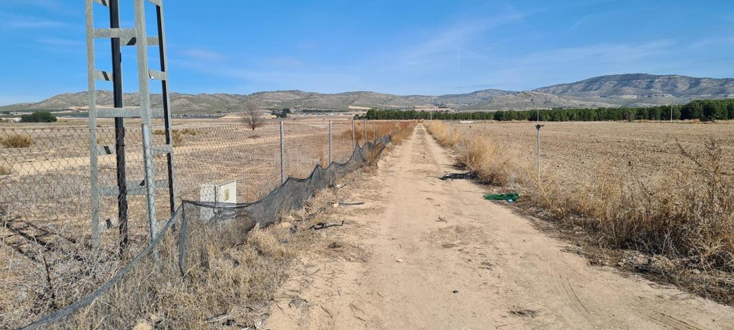 Parcela de más de 20.000 m2 ideal para construir tu casa soñada... photo 0