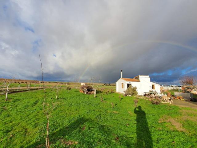 FINCA RUSTICA CON EDIFICACION EN EL PERDIGON photo 0