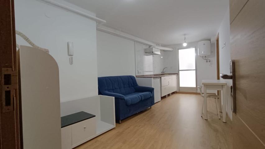 ENTREPLANTA ACONDICIONADA COMO APARTAMENTO EN VENTA ZONA PUERTA DE LA FERIA photo 0