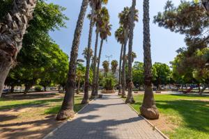 Amplia Planta Baja en Torrevieja - Oportunidad Única photo 0