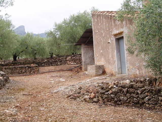 ESPLENDIDA FINCA DE REGADIO EN EL PERELLO. photo 0