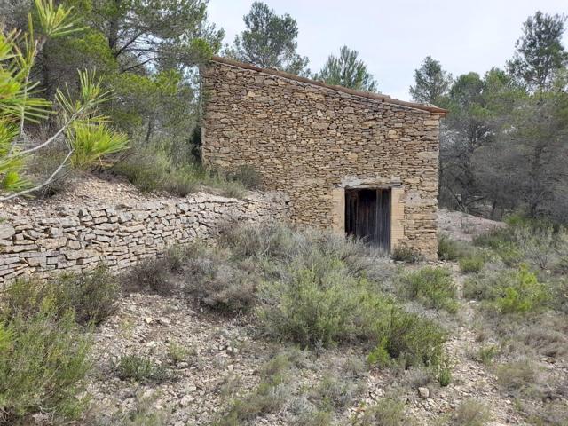 FINCA RUSTICA EN MORA D´EBRE CON MASIA DE PIEDRA SECA photo 0