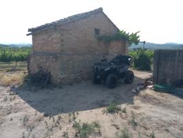 FINCA RUSTICA EN GINESTAR A ORILLAS DEL RIO EBRO photo 0