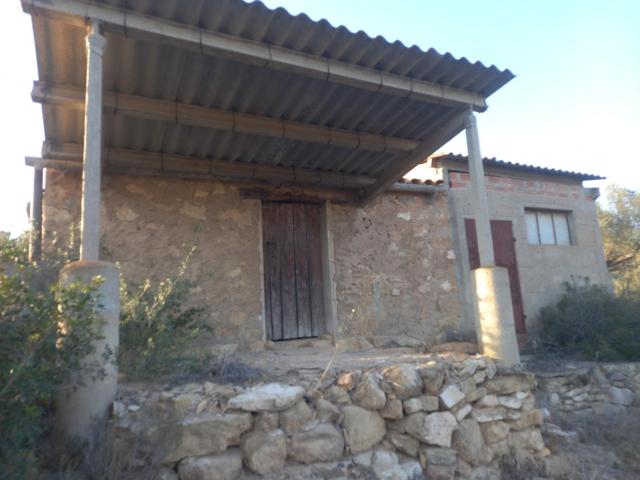 OPORTUNIDA FINCA AGRICOLA EN FLIX ( RIBERA D´EBRE) photo 0