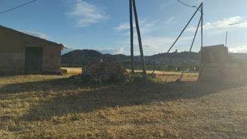 OPORTUNIDAD FINCA DE REGADIO LINDANDO AL RIO EBRO CON CASA DE CAMPO EN ASCO photo 0