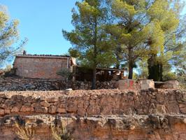 OCASION FINCA RUSTICA EN ASCO CON MASIA photo 0