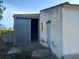 OCASION FINCA RUSTICA DE REGADIO EN BENISSANET A ORILLAS DEL EBRO photo 0