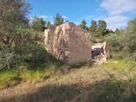 OPORTUNIDAD FINCA AGRICOLA DE 2 HAS EN VINEBRE photo 0