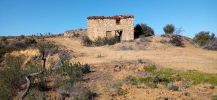 OPORTUNIDAD GRAN FINCA RUSTICA DE SEMBRADURA DE 8,2 HAS. EN LA TORRE DE L´ESPANYOL photo 0