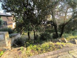 OPORTUNIDAD SOLAR EDIFICABLE A BIGAS Y RIELLS photo 0